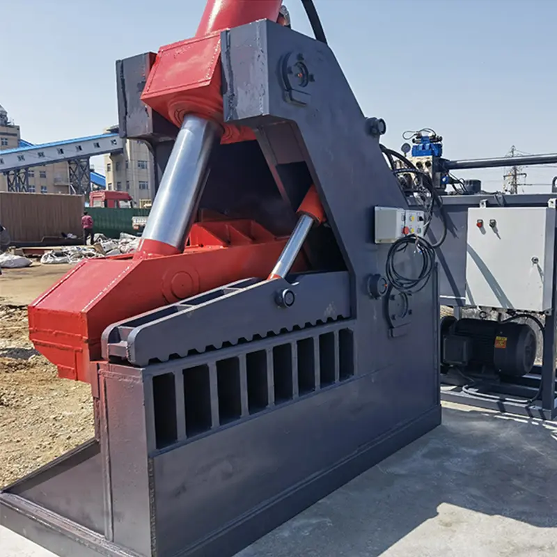 Alligator Shear-3.jpg